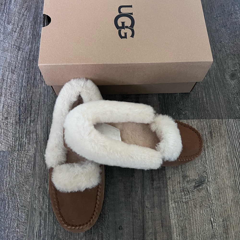 NWB Keegan Ugg Slipper